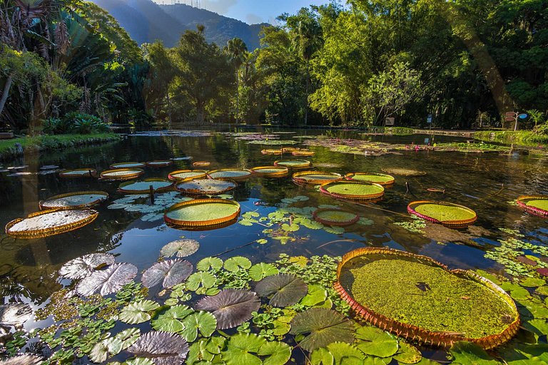 Glória/Lapa - Boemia Cultura e Lazer
